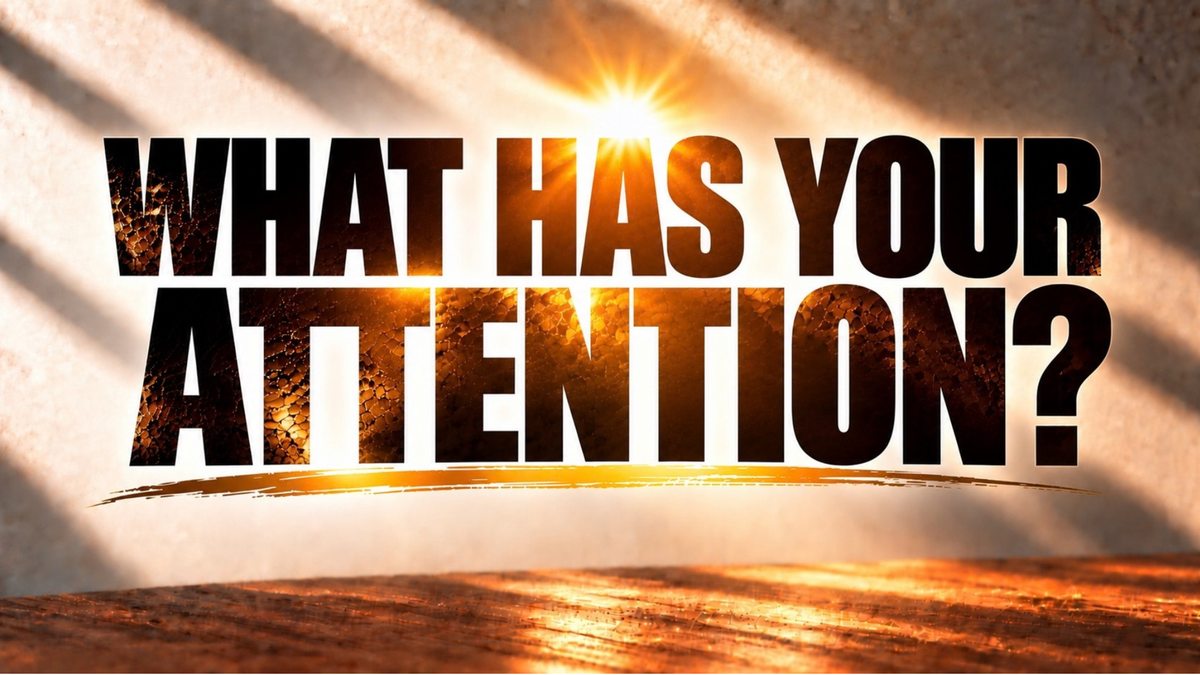 Load video: What Has Your Attention?